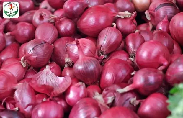 Are Red onions low fodmap Are Red onions low fodmap