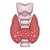 Thyroid Reversal Diet Plan in Pune - By Dietitian Ria Hawle Balanced Bowls, Pune